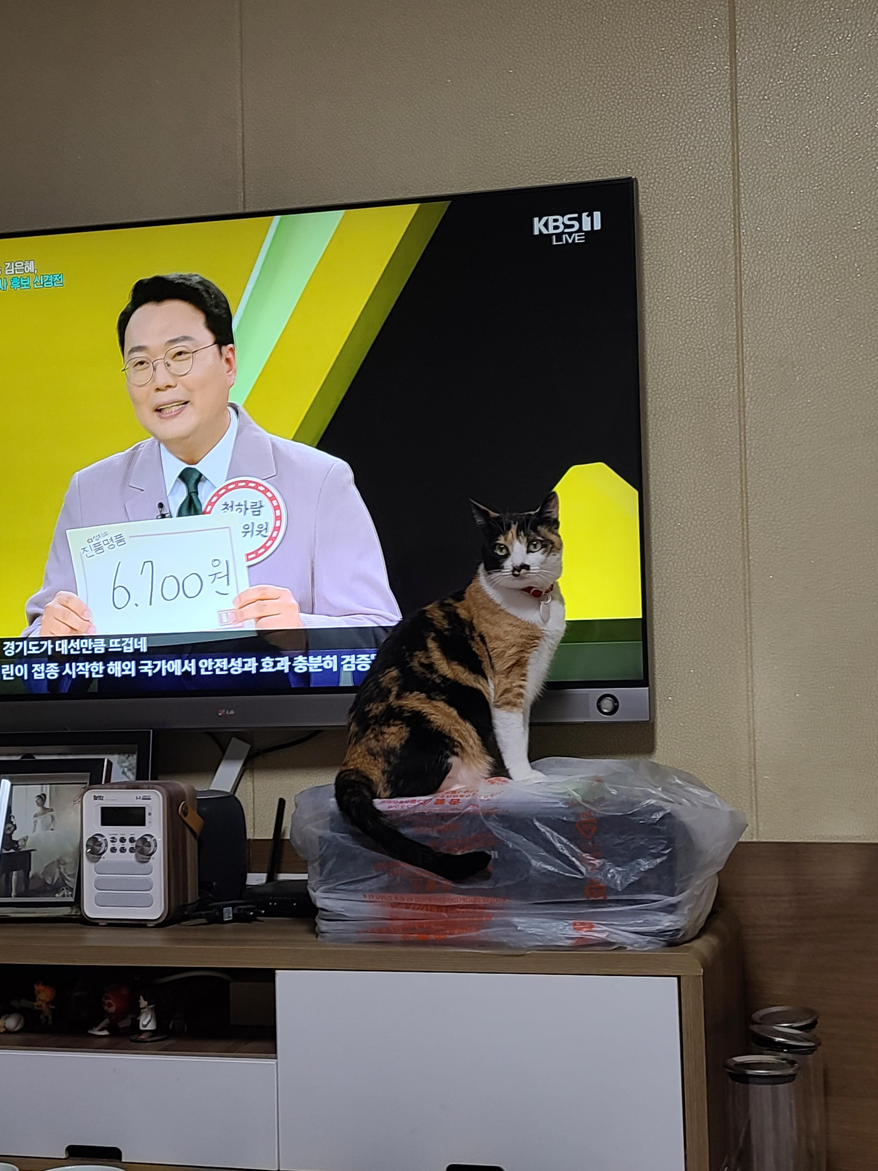 까칠함 뒤의 다양한 다다 모습들.