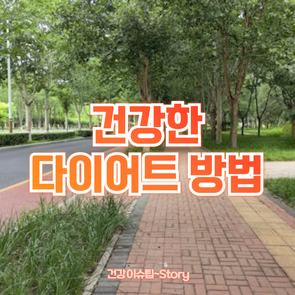 건강한 다이어트 방법