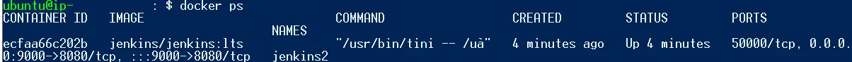Jenkins 컨테이너