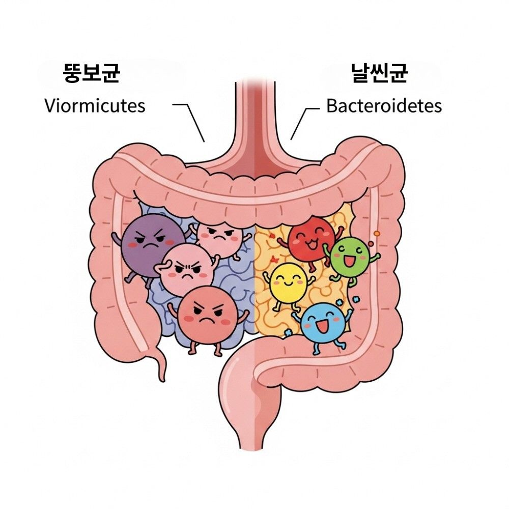 어린이 비만 유산균