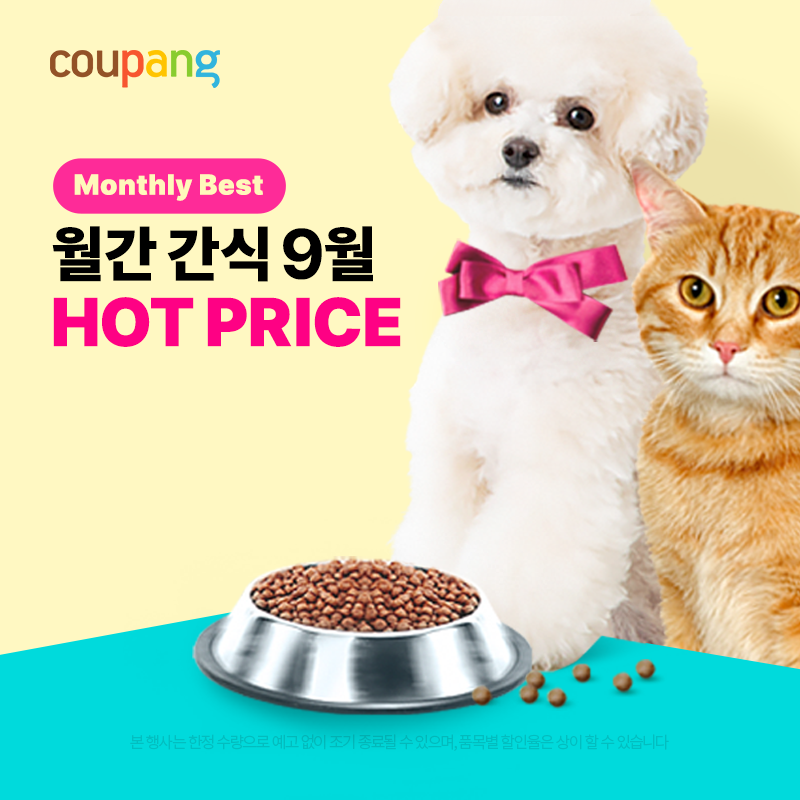 쿠팡 강아지간식 할인 이벤트.