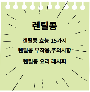 렌틸콩