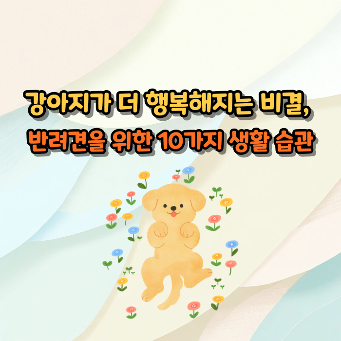 반려견을 위한 10가지 생활 습관
