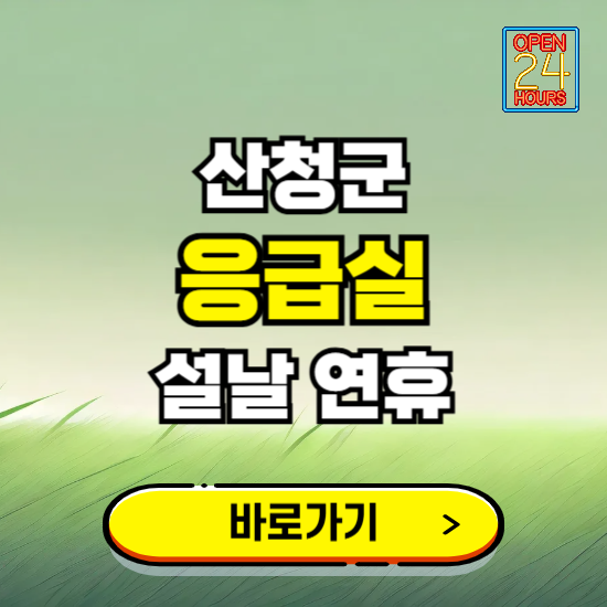 산청군 설날 연휴 비상진료 응급실 병원 찾기 ❘ 내근처 24시 야간 심야 휴일 가능한 곳