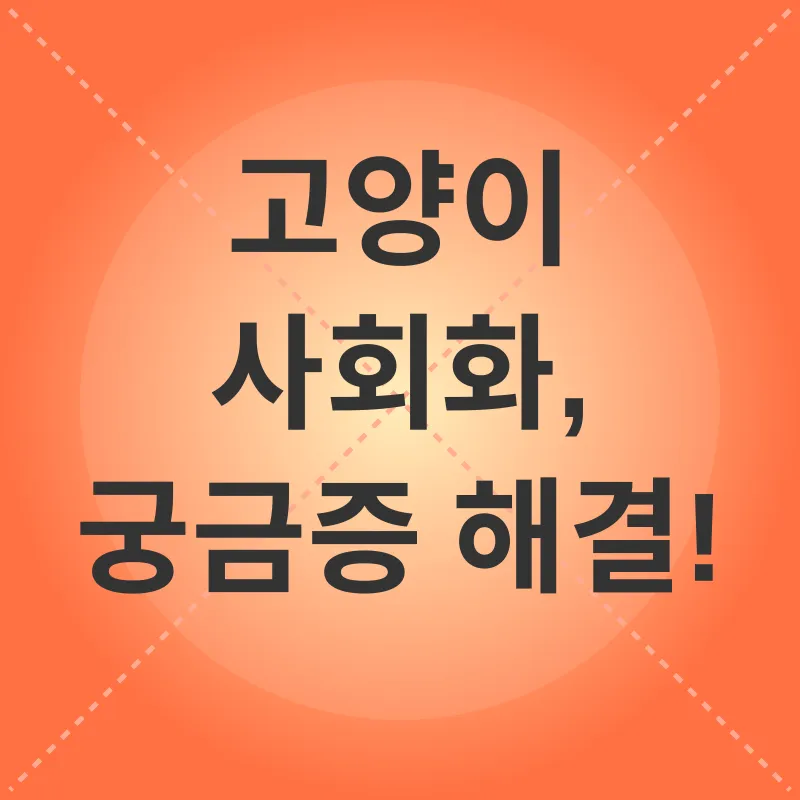 고양이 사회화_4