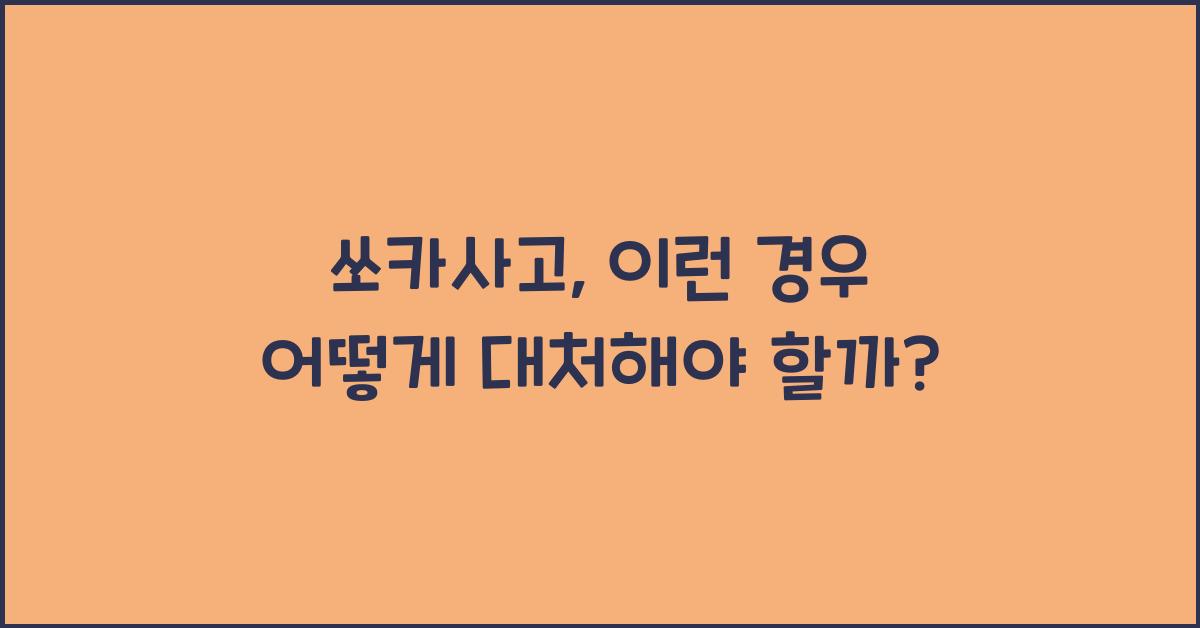 쏘카사고