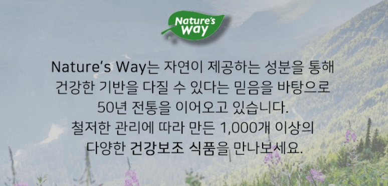 루테인 추천