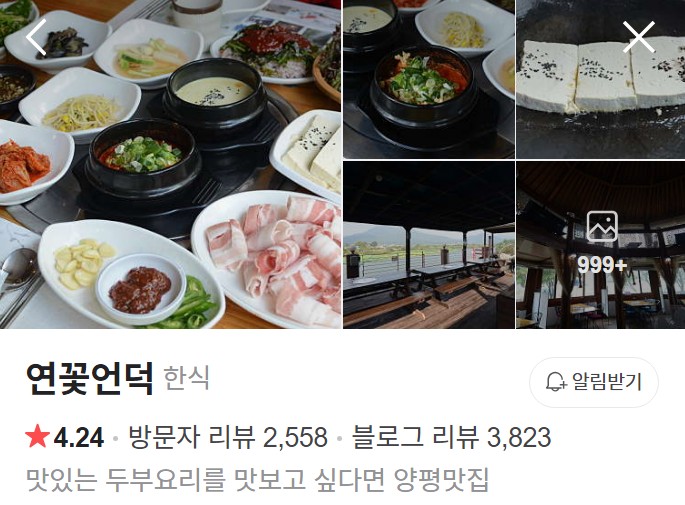 양평 연꽃언덕 네이버 플레이스