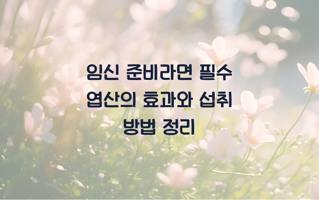 임신 준비라면 필수! 엽산의 기능 완벽 정리