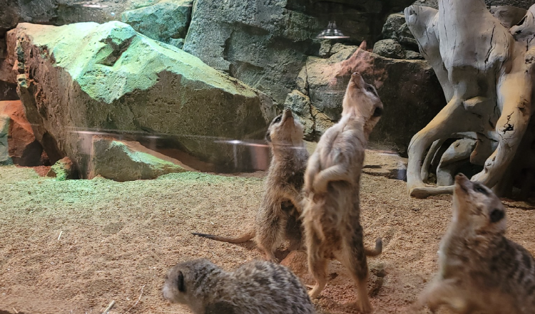 가평 신비동물원
