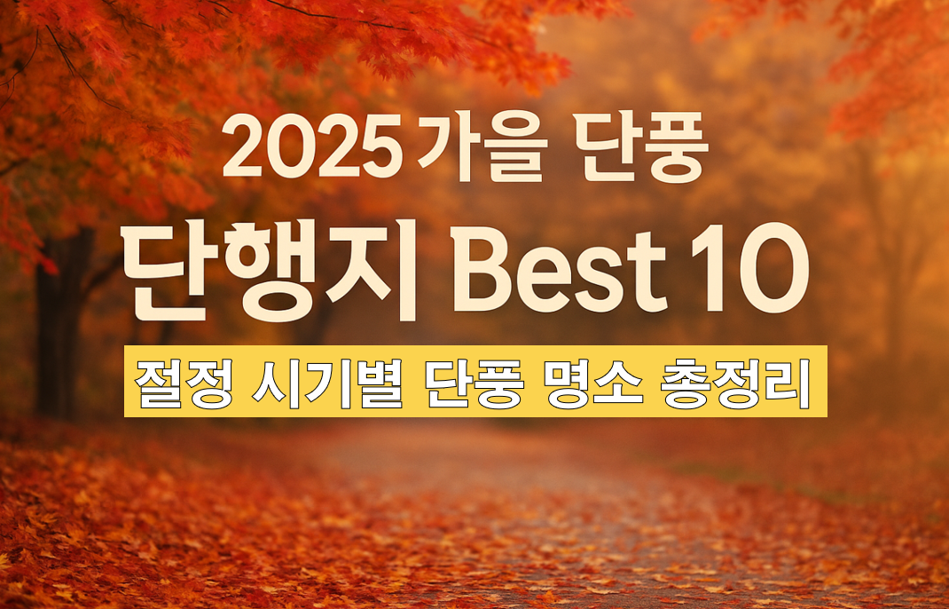 올가을 단풍 명소 총정리 – 전국 가을 여행지 추천 Best 10