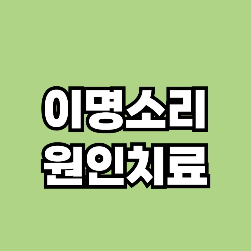 이명 원인