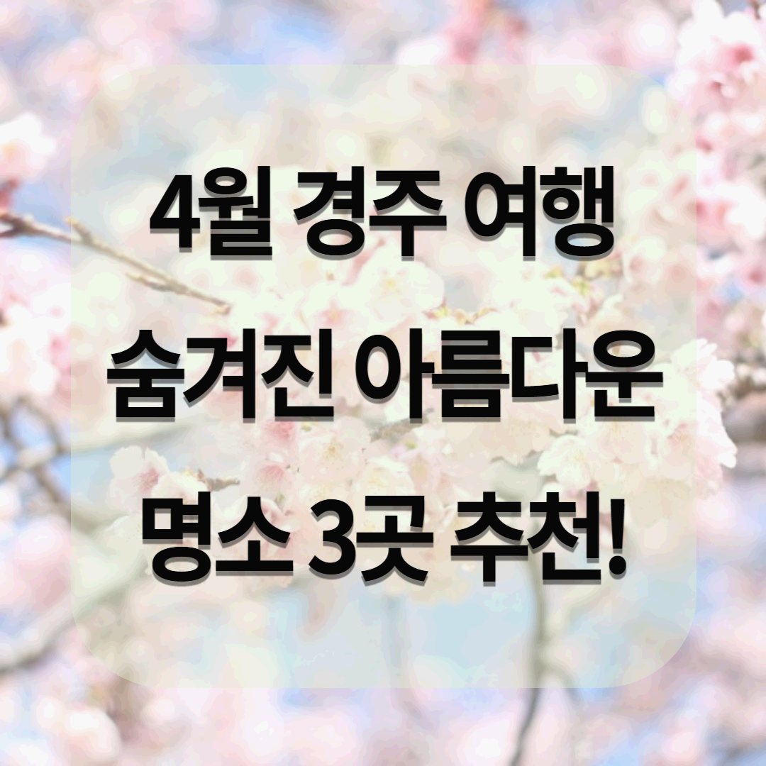 4월 경주 여행 ❘ 숨겨진 아름다운 명소 3곳 추천!