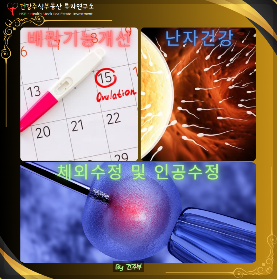 이노시톨이 난임개선이 도움되는 이유 : 배란기능개선 난자건강 체외수정 및 인공수정 도움