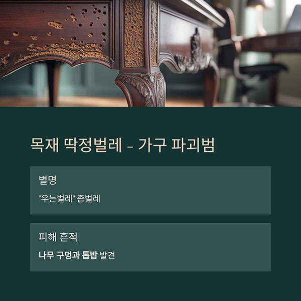 목재 딱정벌레 (Anobiidae 계열)