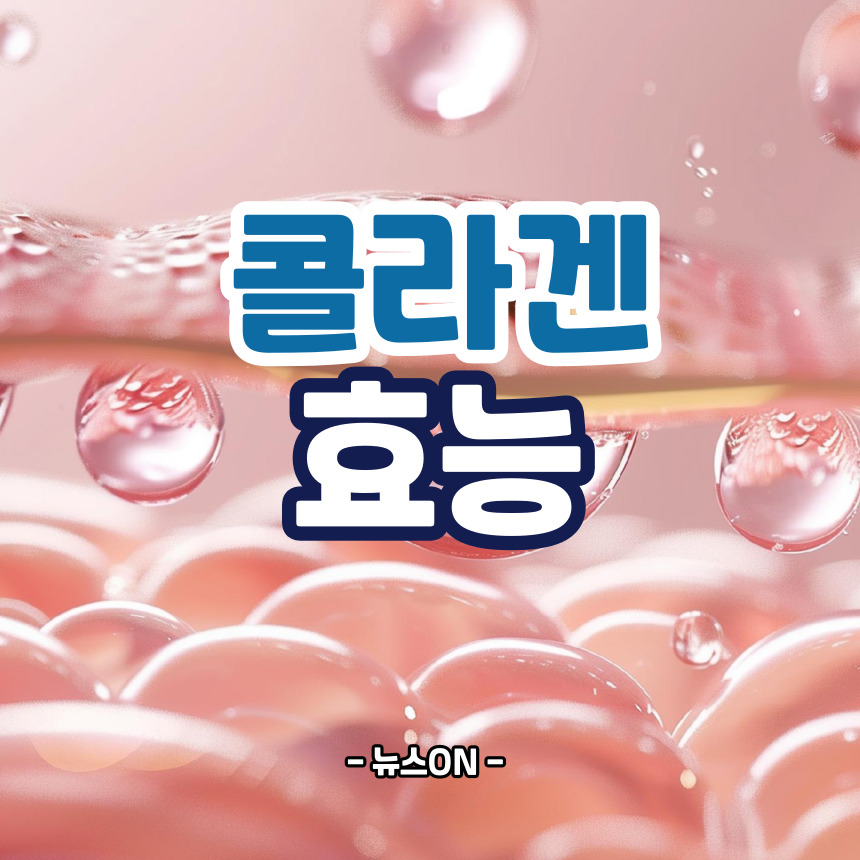 콜라겐의 효능