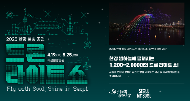 2025 한강 드론 라이트쇼