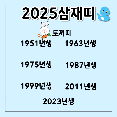 토끼띠삼재