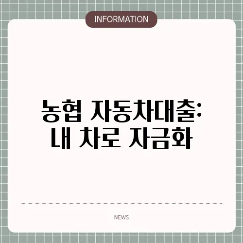 농협 자동차대출: 내 차로 자금화
