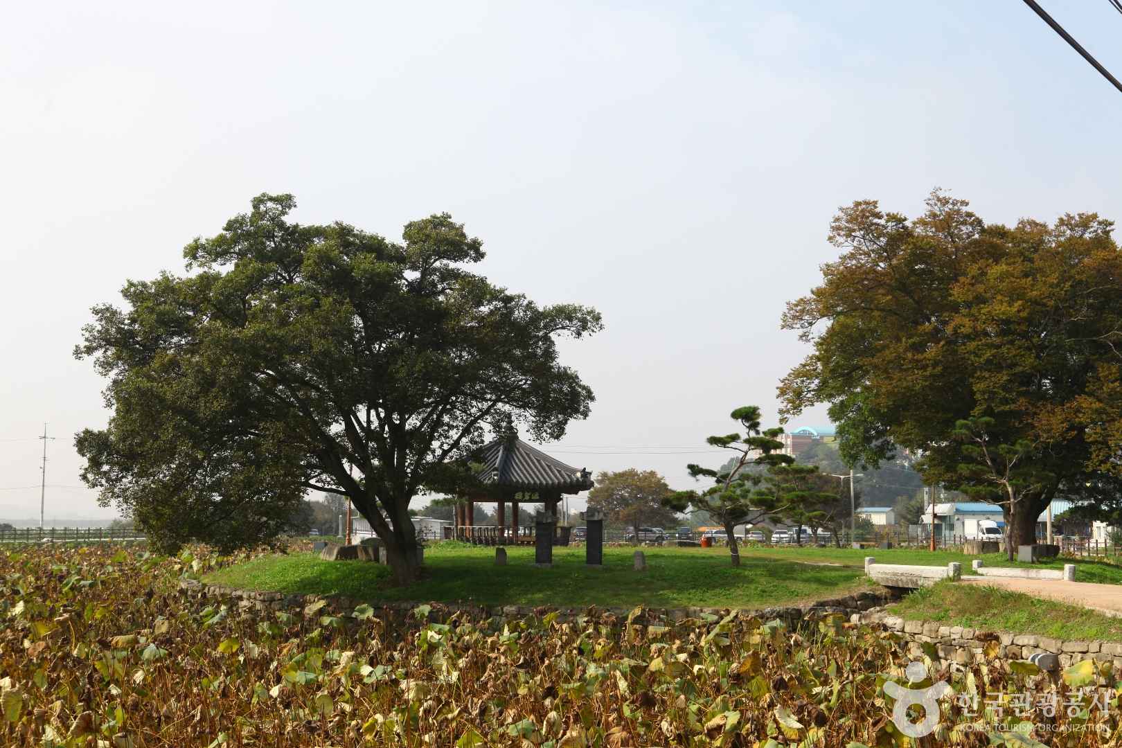 피향정