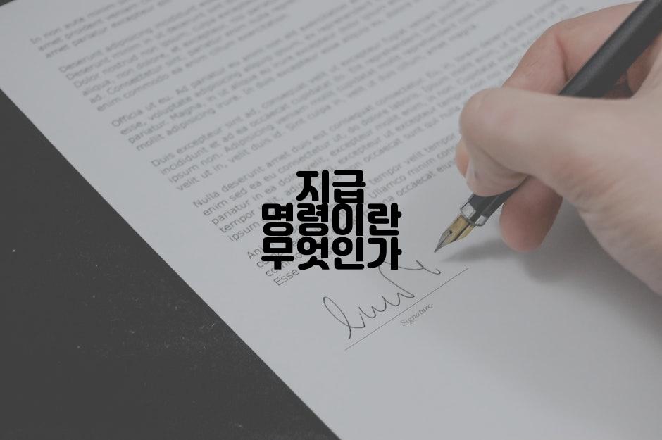 지급 명령이란 무엇인가