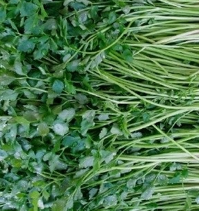 미나리 효능 부작용 고르는법 칼로리