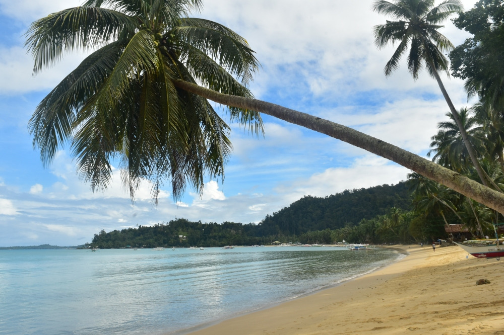 필리핀 팔라완에서 한 달을 보내는 방법