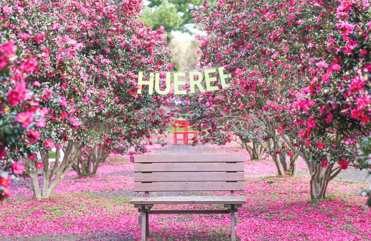 남원 휴애리 자연생활공원