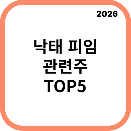 낙태피임관련주대장주수혜주TOP5_썸네일
