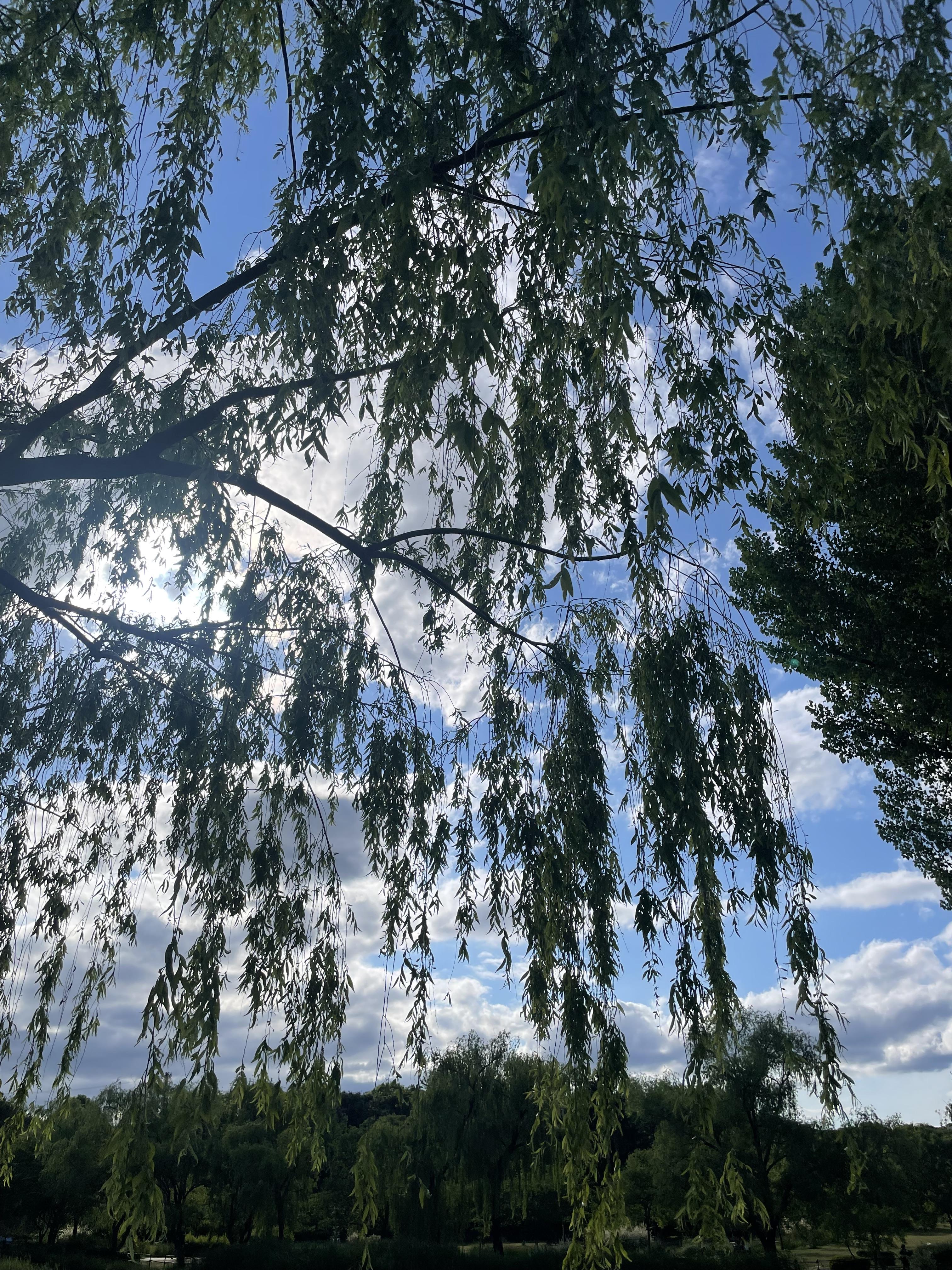 용산-가족-공원