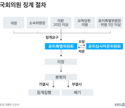 국회의원 제명 정족수 요건 절차 징계 사유 재적의원 의석수