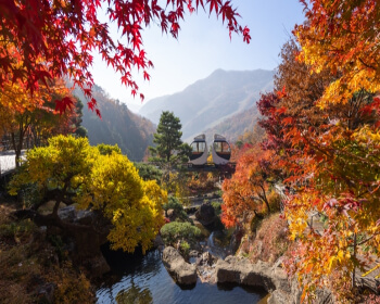 단풍 명소 화담숲