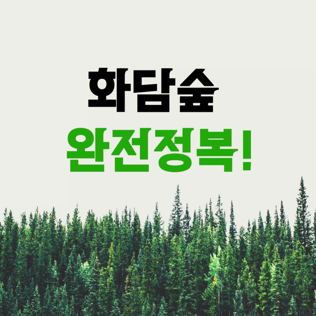 화담숲 예약부터 모노레일까지 완벽 가이드