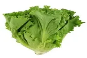 상추
