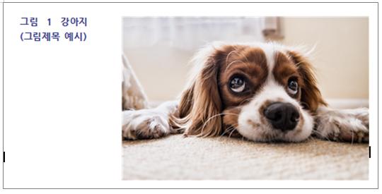 한글 캡션 설정 표번호 그림번호