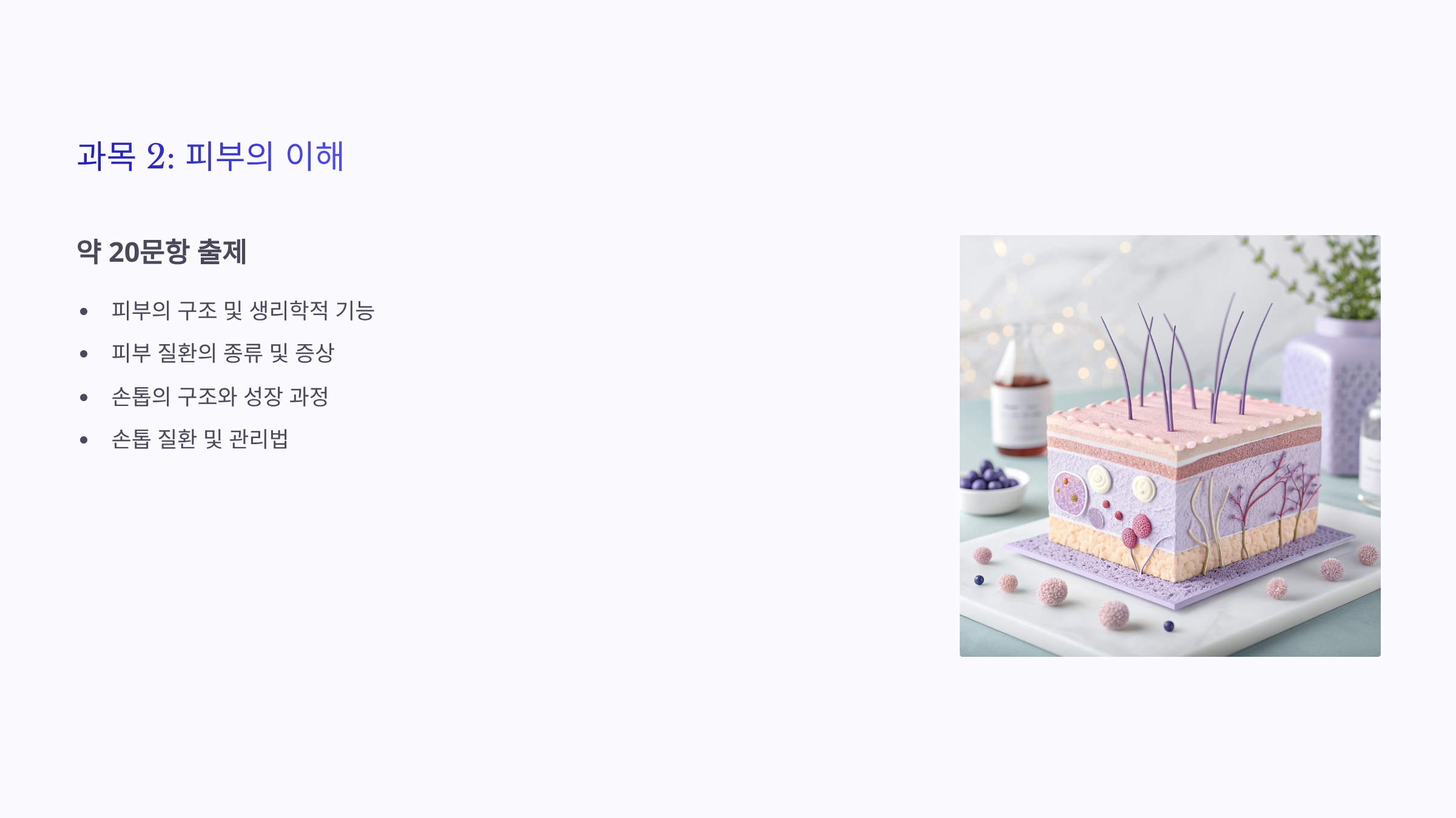 네일아트 국가 자격증 ❘ 필기&middot;실기 시험 일정부터 합격 꿀팁까지 완벽가이드