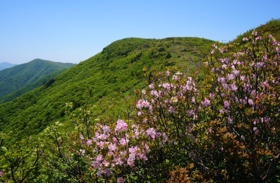 소백산
