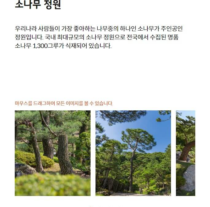 소나무정원