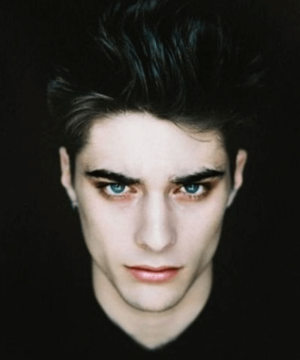 고양이 식욕저하&amp;#44; 근육경련의 원인 볼드모트 사료