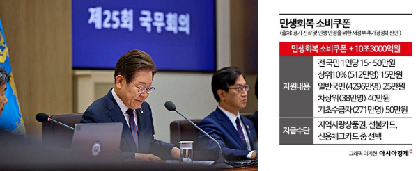 민생회복 소비쿠폰 아시아경제 뉴스기사이미지