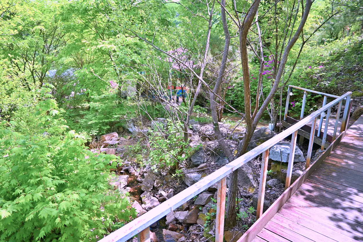 홍천 산으로캠핑장 힐링하기 좋은 멋진 캠핑장 사진 14