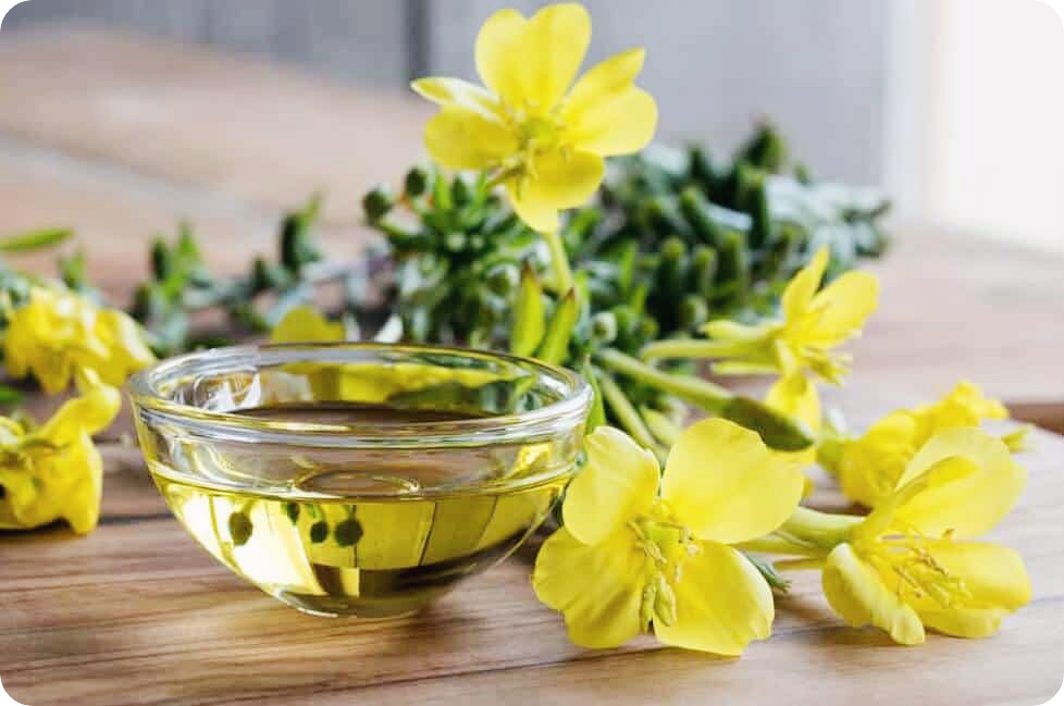 달맞이꽃종자유-효능