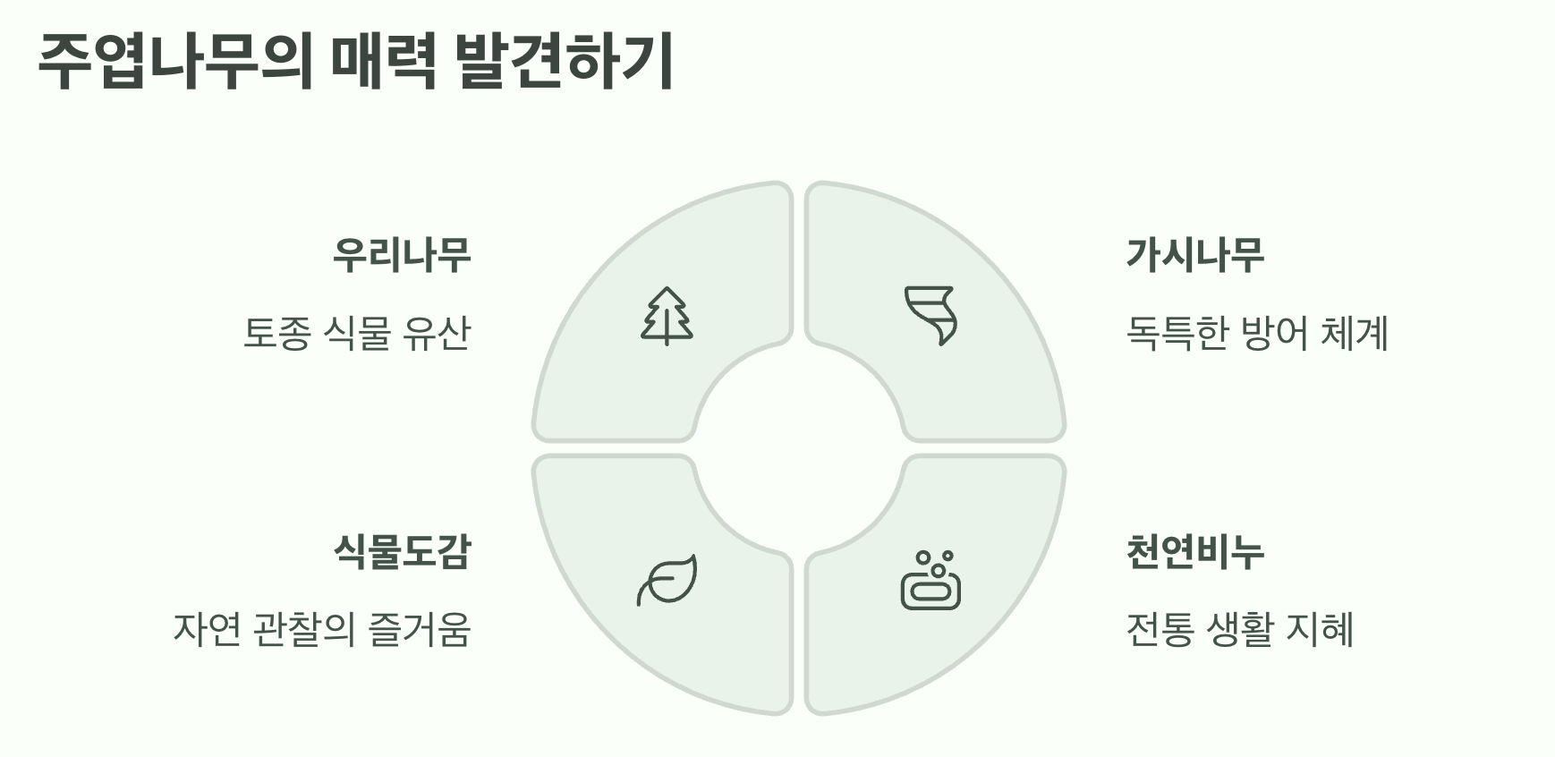 주엽나무의 매력 발견하기