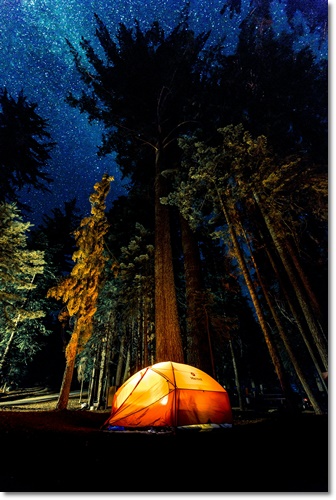 일산 킨텍스 고카프 캠핑 박람회 무료입장