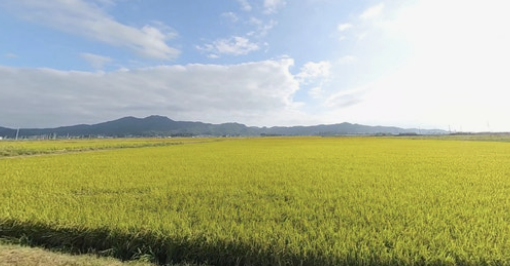 2025 농업직불금 지급시기 신청방법 부정수급 핵심정리