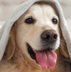 테무 쇼핑&amp;#44; 사기&amp;#44; 쿠폰코드&amp;#44; 배송기간&amp;#44; 반품&amp;#44; 탈퇴방법