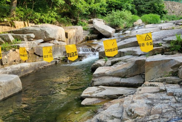 근처에 계곡이 있는 캠핑장