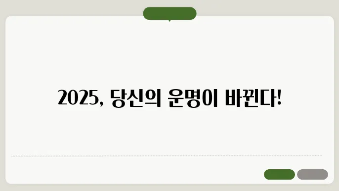 2025년 삼재띠 운세