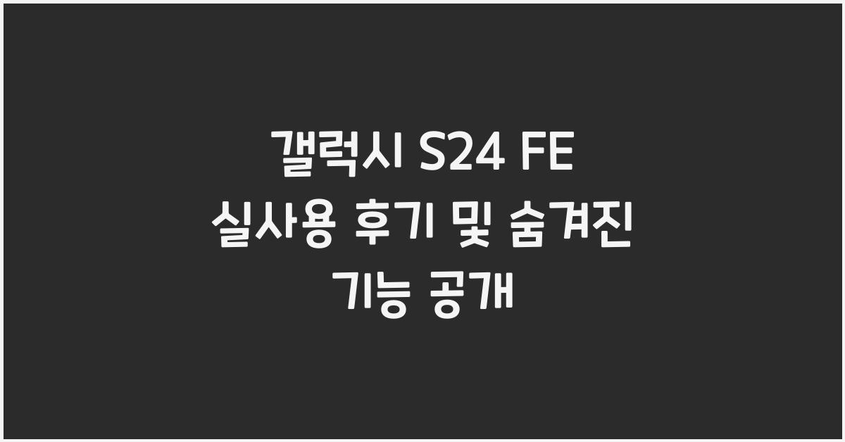 s24FE