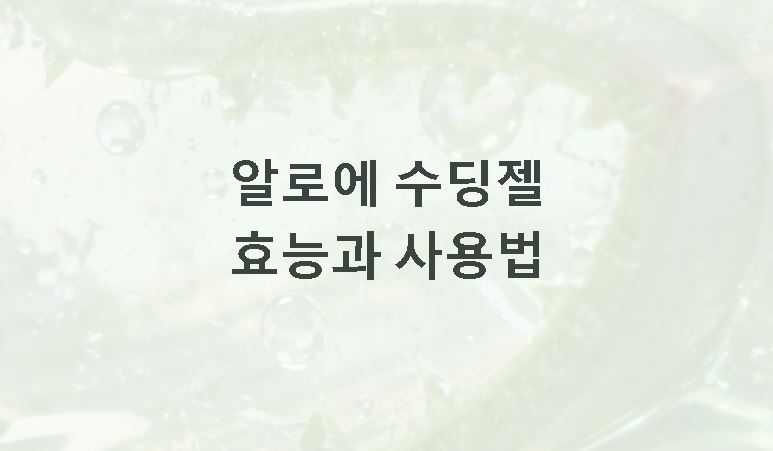 알로에 수딩젤 효능 사용법